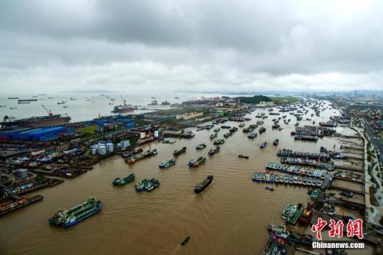 资料图:渔船在港口内停泊避台风.